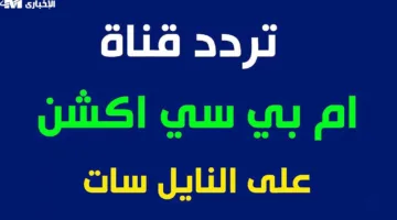 اضبط الآن تردد قناة MBC Action 2025 على نايل سات لمتابعة نهائي كأس العالم للأندية بجودة ممتازة