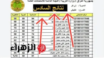 تحميل شهادات السادس الإعدادي 2025 بصيغة PDF.. اعرف كيف تحصل عليها من موقع وزارة التربية العراقية الرسمي