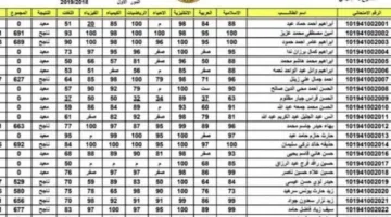 رابط فوري للاستعلام عن نتائج السادس الإعدادي 2025 الدور الأول خلال 3 ثوانٍ فقط