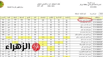 رابط مباشر لنتائج الصف السادس الإعدادي 2025 علمي وأدبي بالرقم الامتحاني PDF فور إعلانها عبر نتائجنا – تحقق الآن!