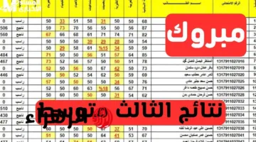 عاجل: استعلام مباشر عن نتائج الصف الثالث متوسط 2025 دور أول عبر موقع وزارة التربية العراقية