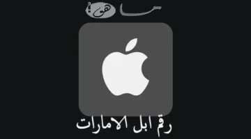 للحصول على دعم Apple في الإمارات: أرقام الخدمة وخيارات الدعم المتوفرة الآن