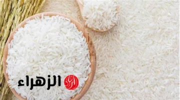 هبوط مفاجئ بأسعار الأرز اليوم الأربعاء 30 يوليو 2025.. كم وصل سعر الكيلو؟