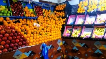 ارتفاع ملحوظ اليوم.. أسعار الفاكهة في أسواق مطروح الأربعاء 27-8-2025