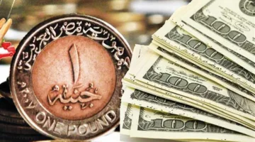 استقرار سعر الدولار أمام الجنيه اليوم الجمعة 29-8-2025 في البنوك الرسمية