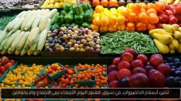 اليوم الأربعاء في سوق العبور: كم بلغ تذبذب أسعار الخضروات بين الصعود والانخفاض؟