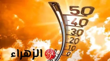 «تحذير شديد» موجة حر قد تقترب من 50 درجة تضرب البلاد خلال الساعات المقبلة
