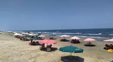 طقس غدًا الاثنين في المناطق المفتوحة: ارتفاع درجات الحرارة ونشاط رطوبي مع تحذير من تشكل الشبورة الكثيفة، تعرف على التفاصيل