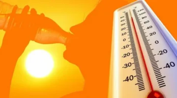 عاجل اليوم.. الأرصاد تكشف تفاصيل طقس القاهرة وارتفاع الحرارة إلى 36 درجة