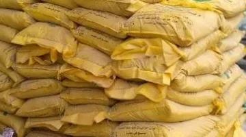 عاجل اليوم.. ضبط 88 طن مواد خام أعلاف حيوانية مجهولة المصدر في كفر الشيخ