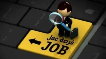 فرص عمل براتب 9000 جنيه متاحة الآن لجميع المؤهلات.. تعرف على المستندات اللازمة للتقديم