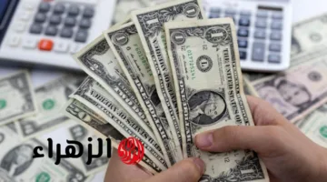 هبوط مفاجئ في سعر صرف الدولار مقابل الليرة السورية الجمعة 8 أغسطس 2025 – كم بلغ الآن؟