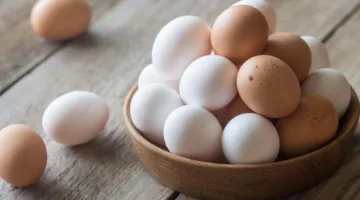 استقرار سعر كرتونة البيض اليوم الخميس 4-9-2025 في بورصة الدواجن عند 148 جنيهًا