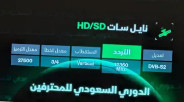 الآن.. استمتع بجودة عالية في متابعة دوري كأس السعودية عبر تردد قناة ثمانية على نايل سات وعرب سات