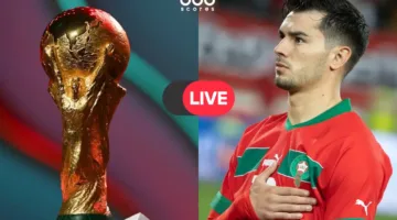 الآن.. طريقة مشاهدة مباراة المغرب والنيجر بث مباشر مجانًا في تصفيات كأس العالم لعام 2024