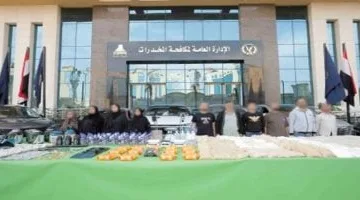 تنويه عاجل.. انطلاق أولى جلسات محاكمة سارة خليفة بتهمة تكوين شبكة تصنيع مخدرات بالقاهرة غداً