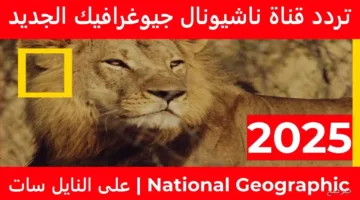 رسمياً اليوم.. تردد قناة ناشيونال جيوغرافيك 2025 على جميع الأقمار لمتابعة أفضل برامج الطبيعة والعلوم