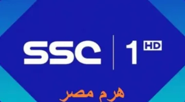 عاجل اليوم.. تردد قناة SSC Sport 2 HD لمتابعة مباريات تصفيات كأس العالم 2026